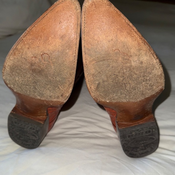 Genuine Caimin Fuscus Skin Boots and Belt - Picture 2 of 7